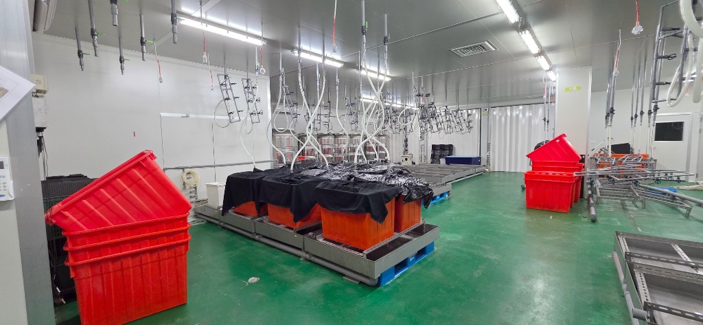 八德近廣豐挑高工業廠房現場照片 3