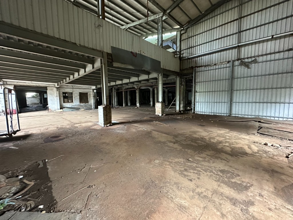樹林千坪工業地廠房現場照片 4