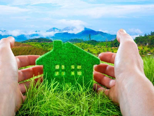 地給了兒子，稅金卻回頭找老爸？揭開農地贈與「五年條款」的代價