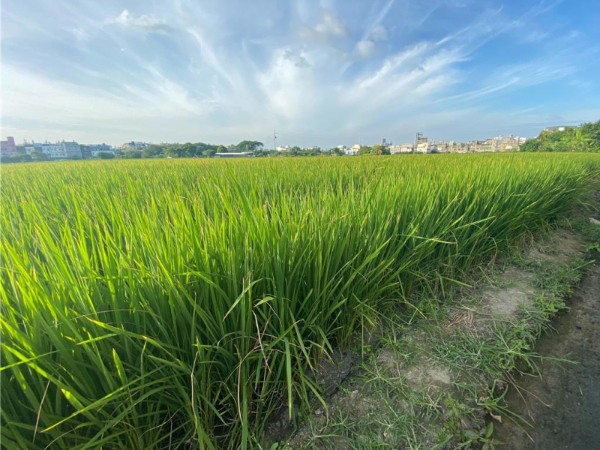 農地能蓋工廠、公司能買農地?保證變建地?2026 農地 vs 耕地, 90% 的人都誤會了